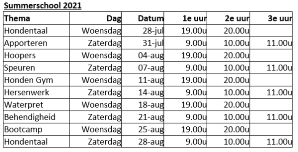 summerschool schema 2021